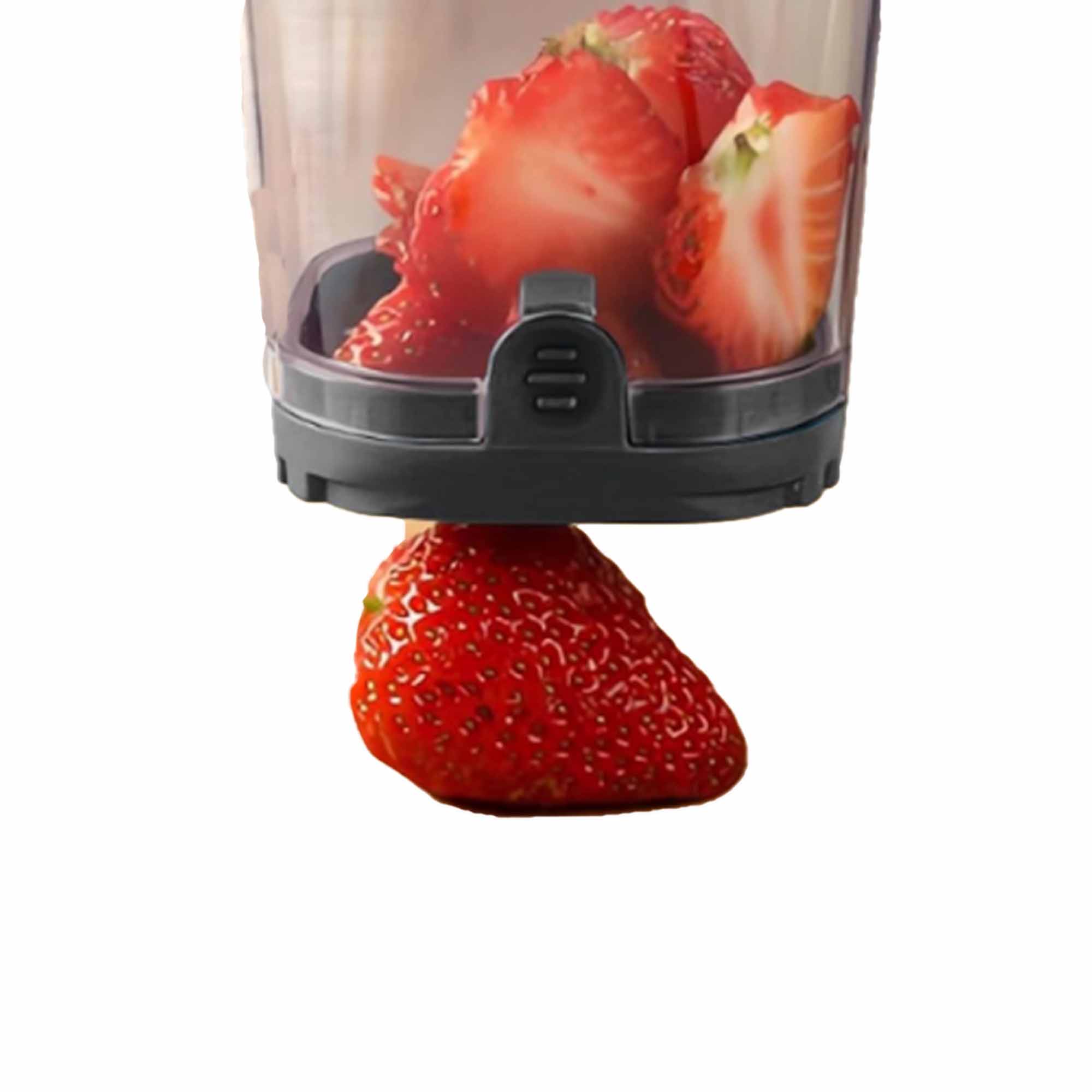 Slicer 2