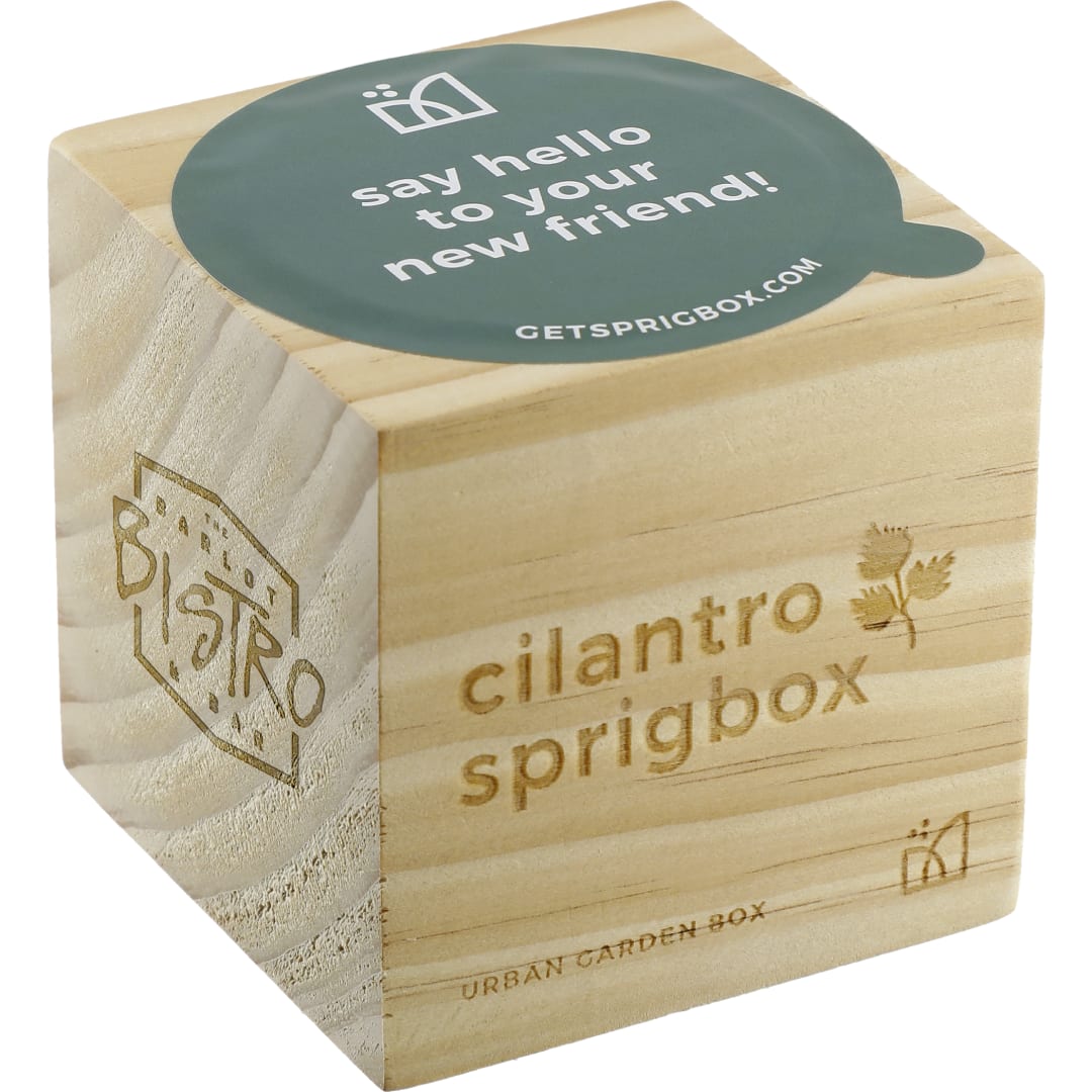Sprigbox Cilantro Grow Kit 2