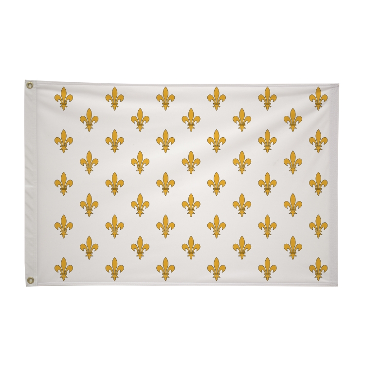 2' x 3' Historical Flags 36