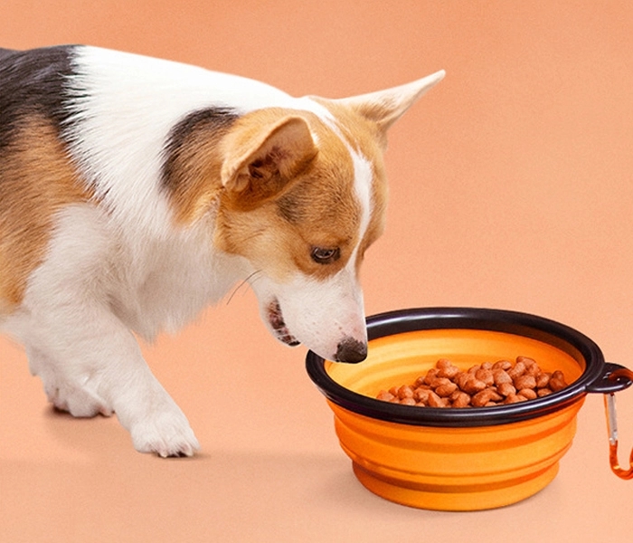 Pet Collapsible Feeding Bowls with Carabiner 5