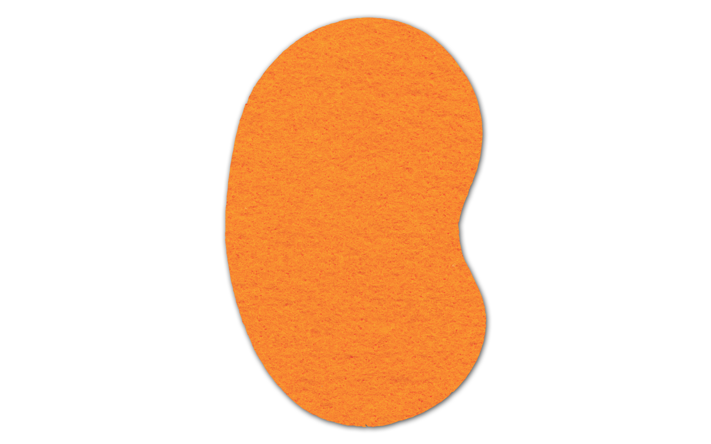 Kidney Shammy Coaster 7