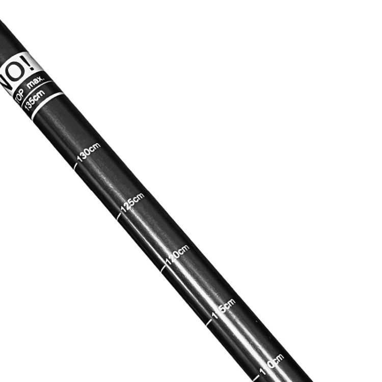 Trekking Pole 6