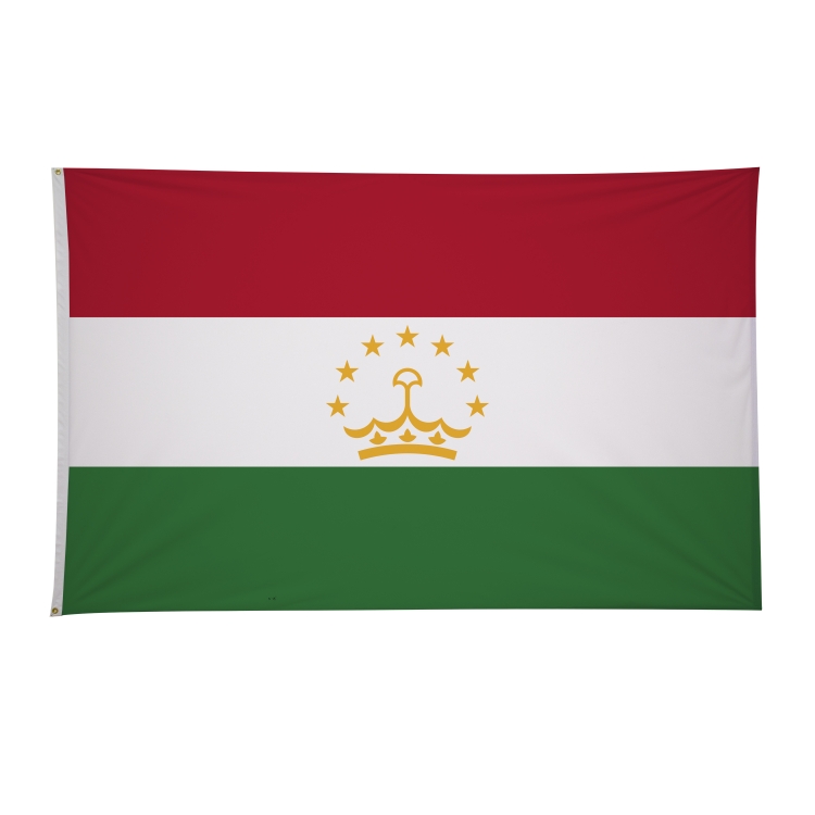 5' x 8' International Flags 161
