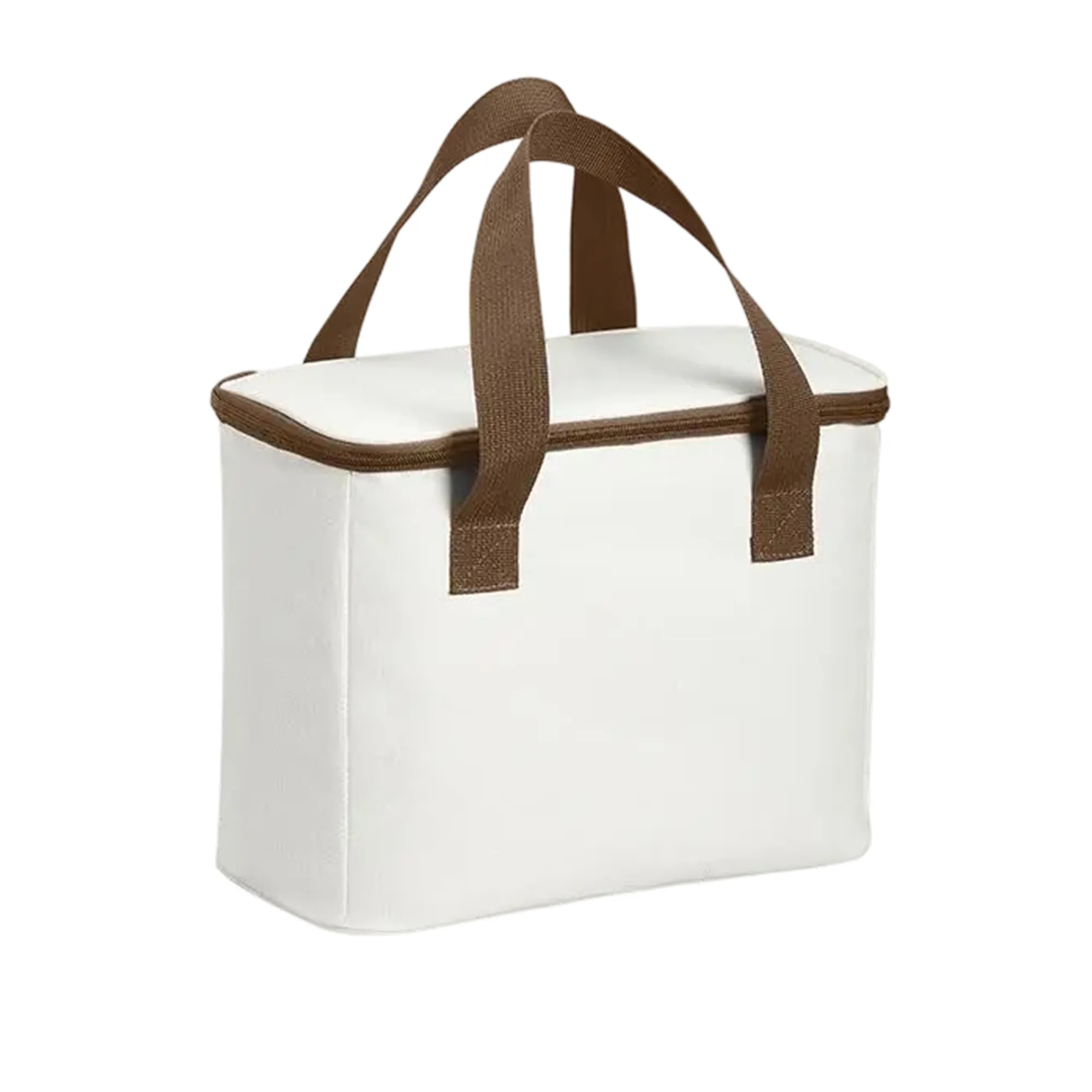 Oxford Insulated Lunch Bag with Dual Handles 3