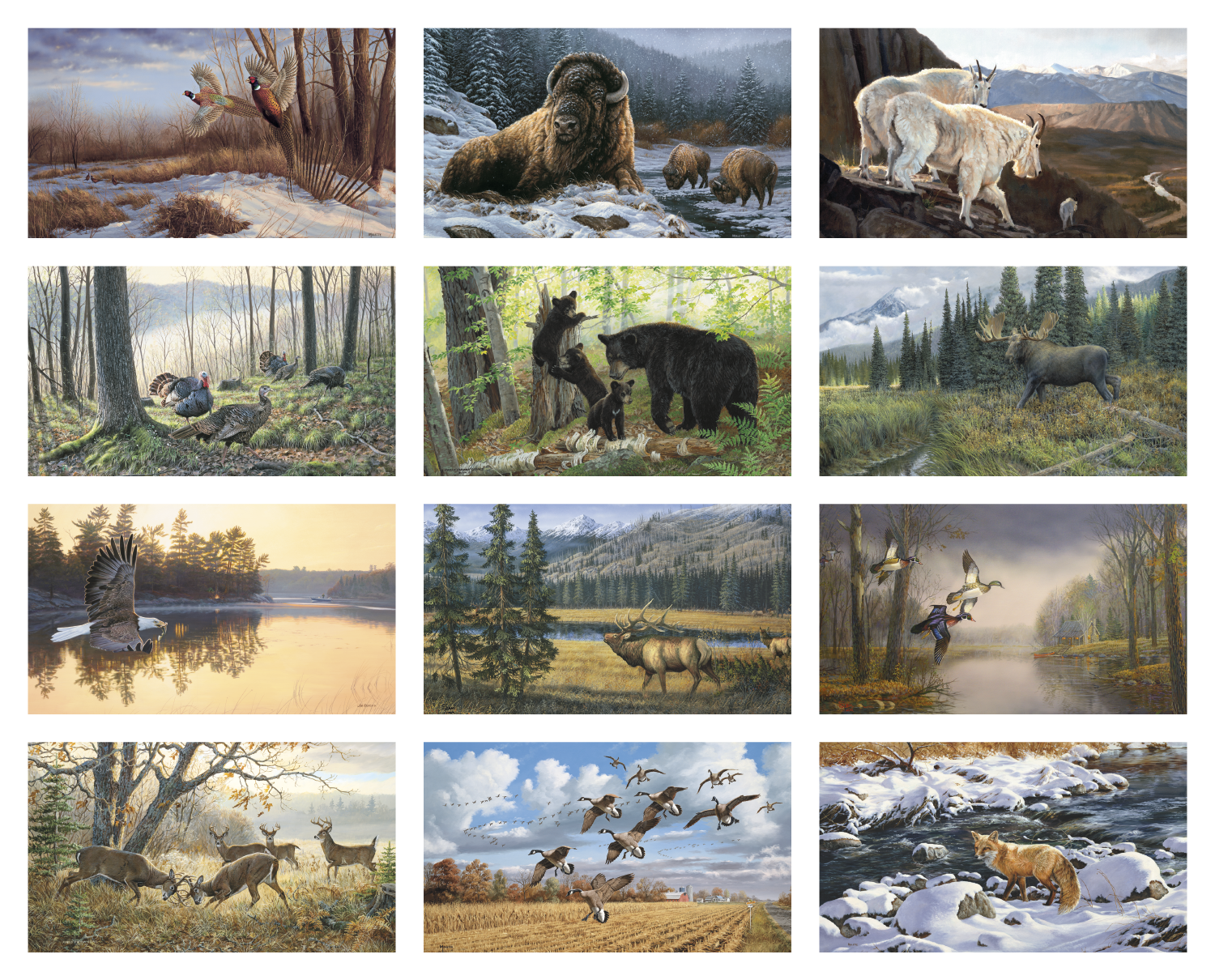 Triumph® Calendars Wildlife Art Calendar 2