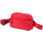 Recycled Sport Fanny Pack 201