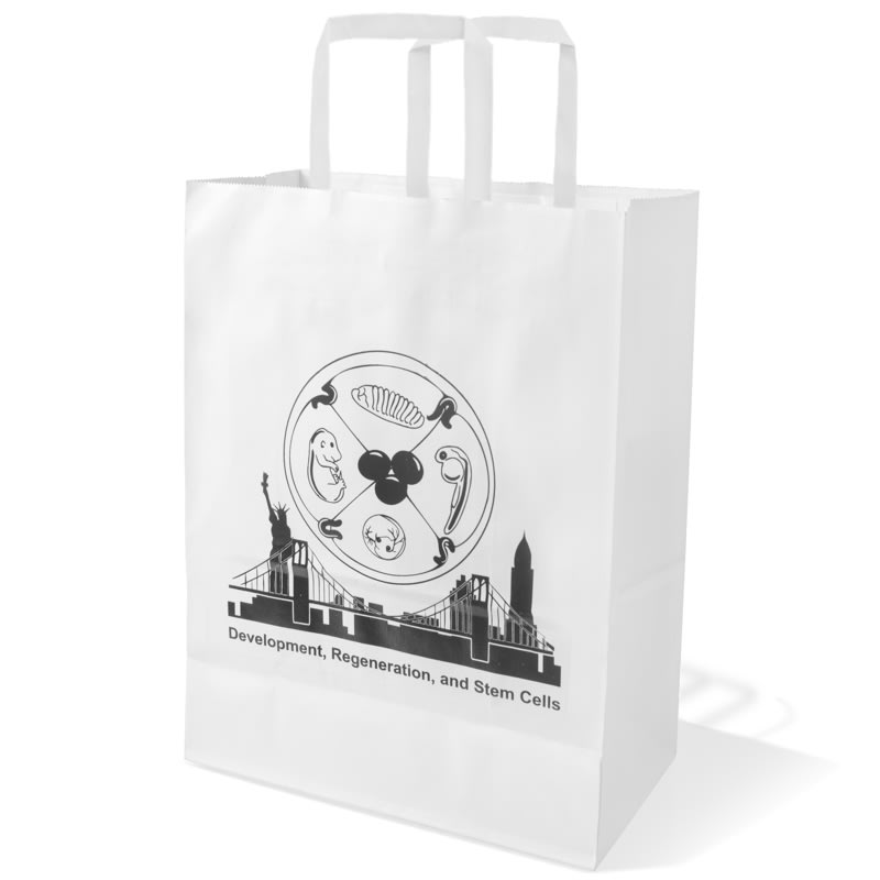 10 X 13 Inch Custom Paper Shopping Bag With Handles 8