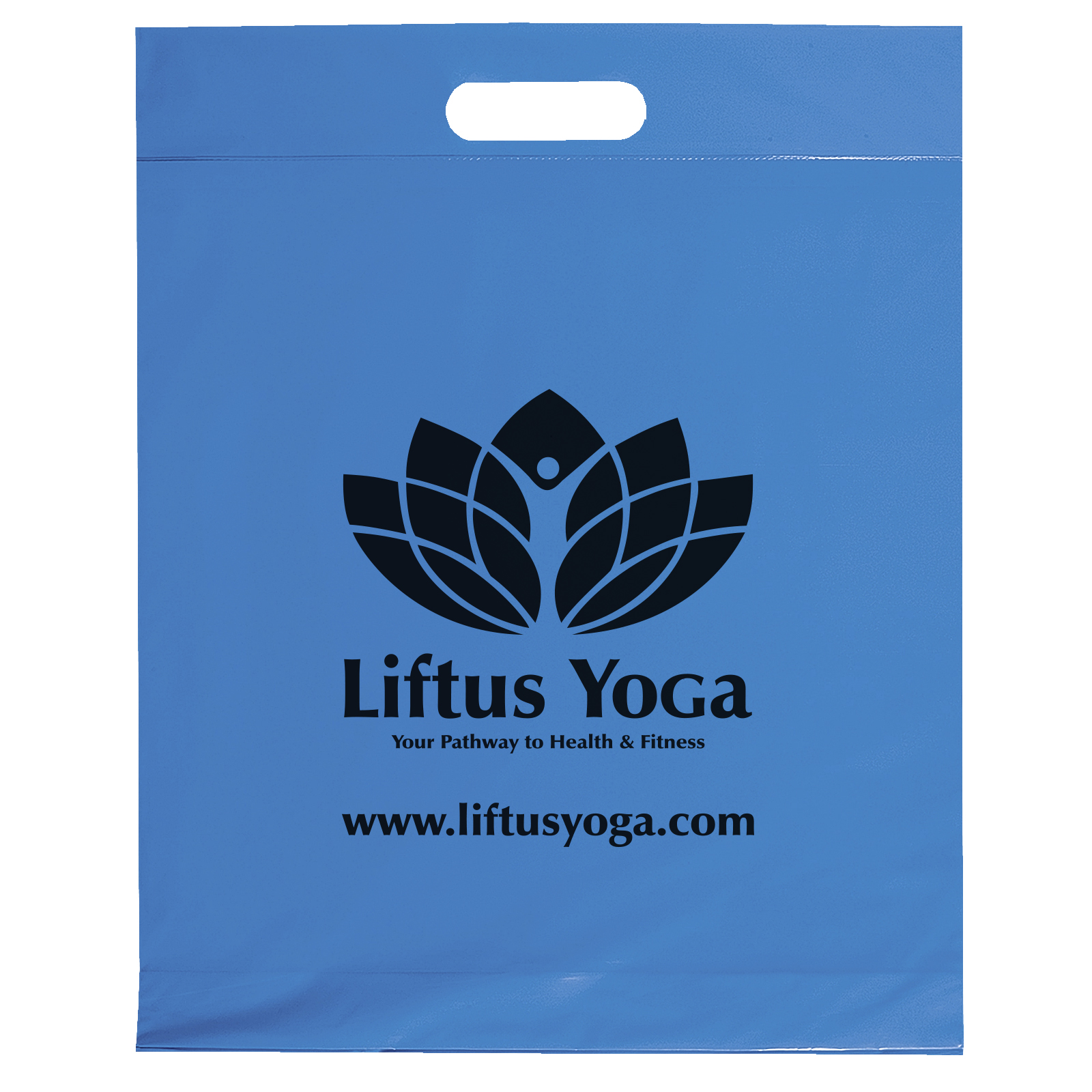 Die Cut Handle Bag - 12W x 15H x 3 - Flexo Ink Print 28