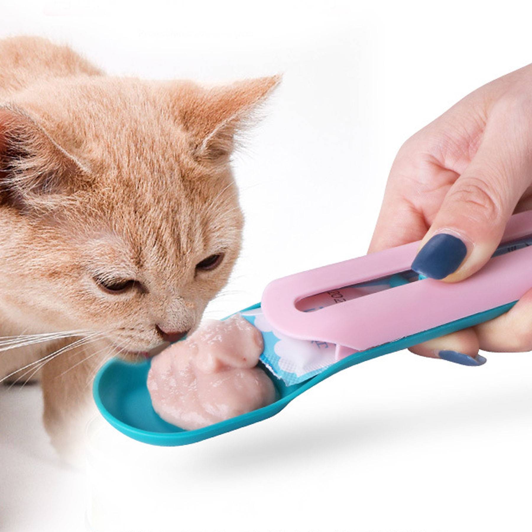 Cat Wet Treats Dispense Spoon 6