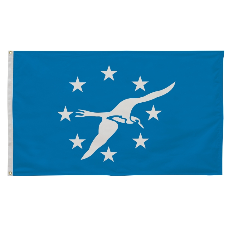 3' x 5' City Flags 67