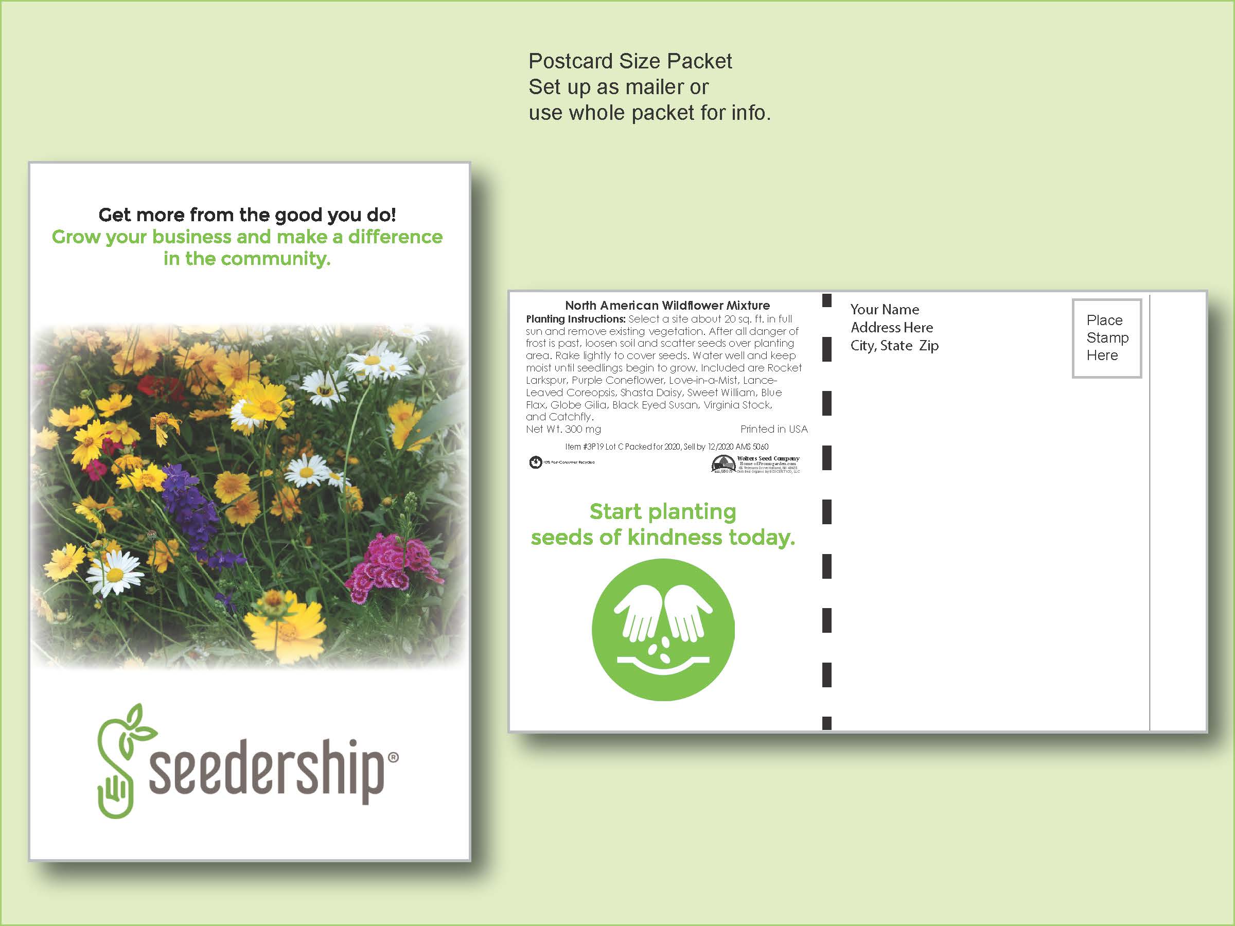 Wildflower Mixture - 11 Variety - Seed Packet - Postcard Mailer Size 4" x 6.5" 1