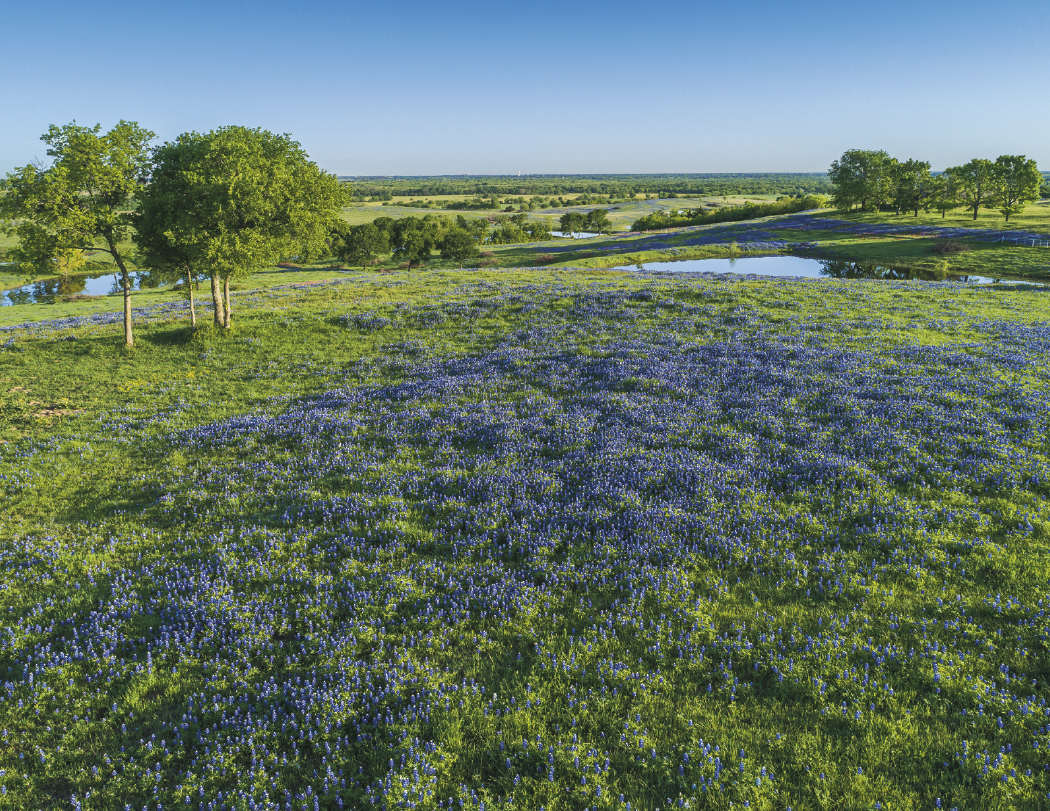HotLine® Products Texas Appointment Calendar - Spiral 3