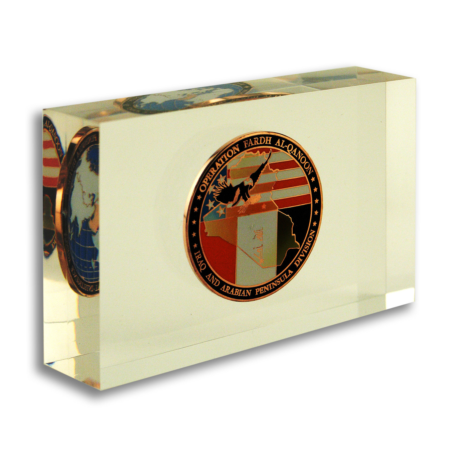 Custom Challenge Coin Acrylic Embedment 4