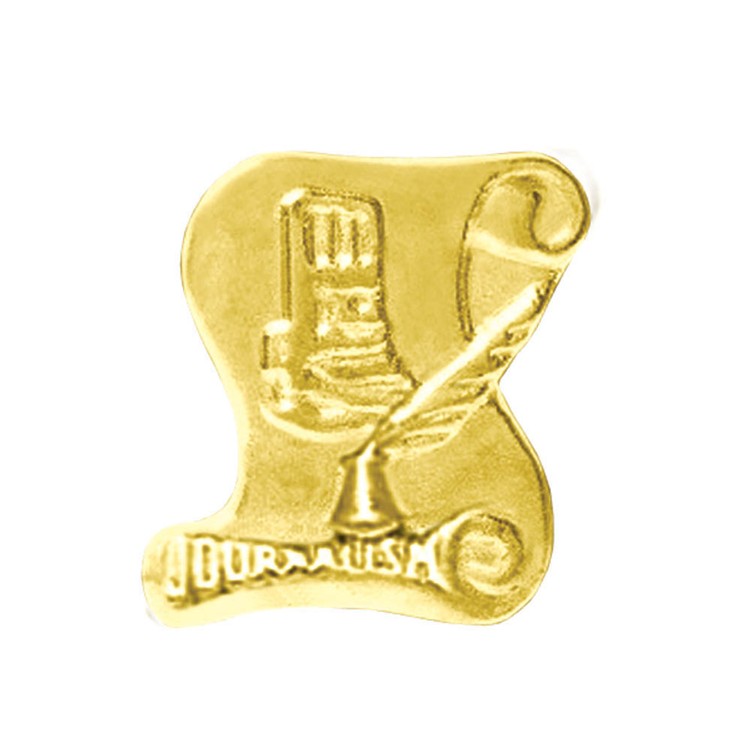 Journalism Bright Gold Chenille Lapel Pin