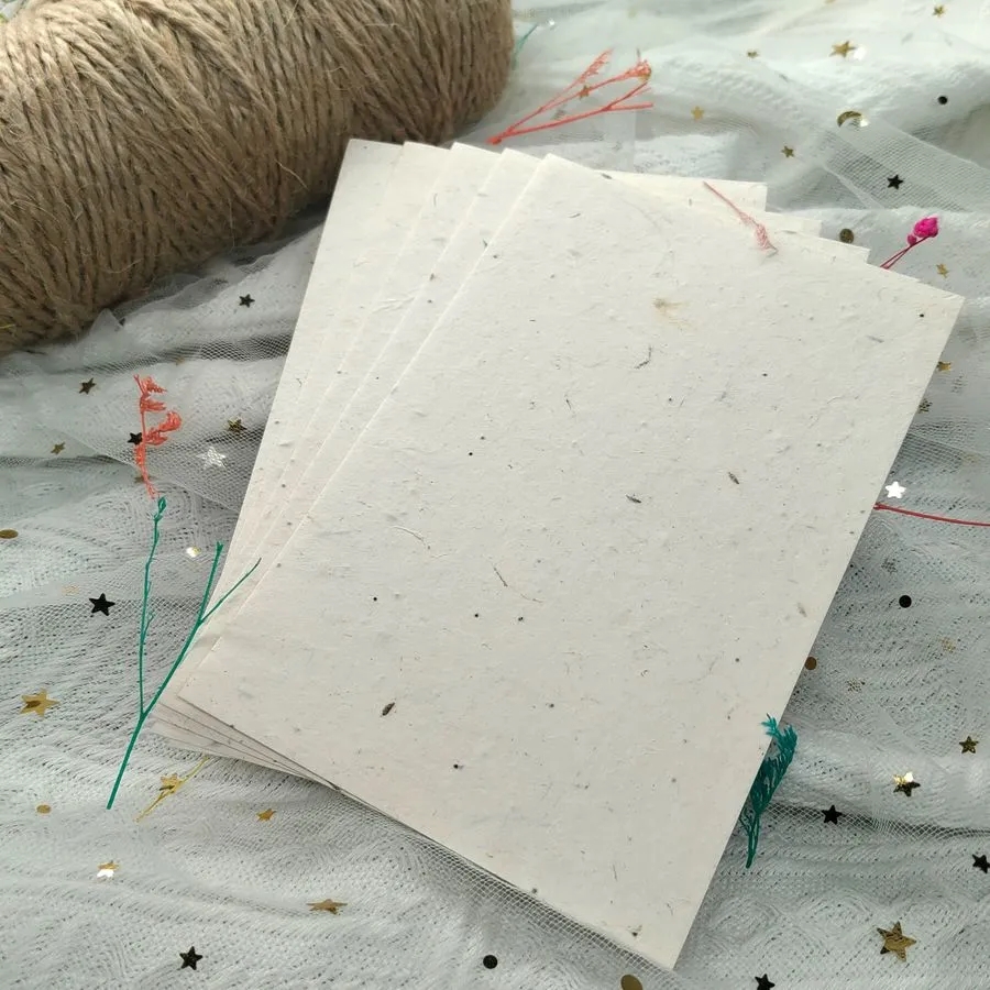 Environmentally Friendly Seed Notecards 9