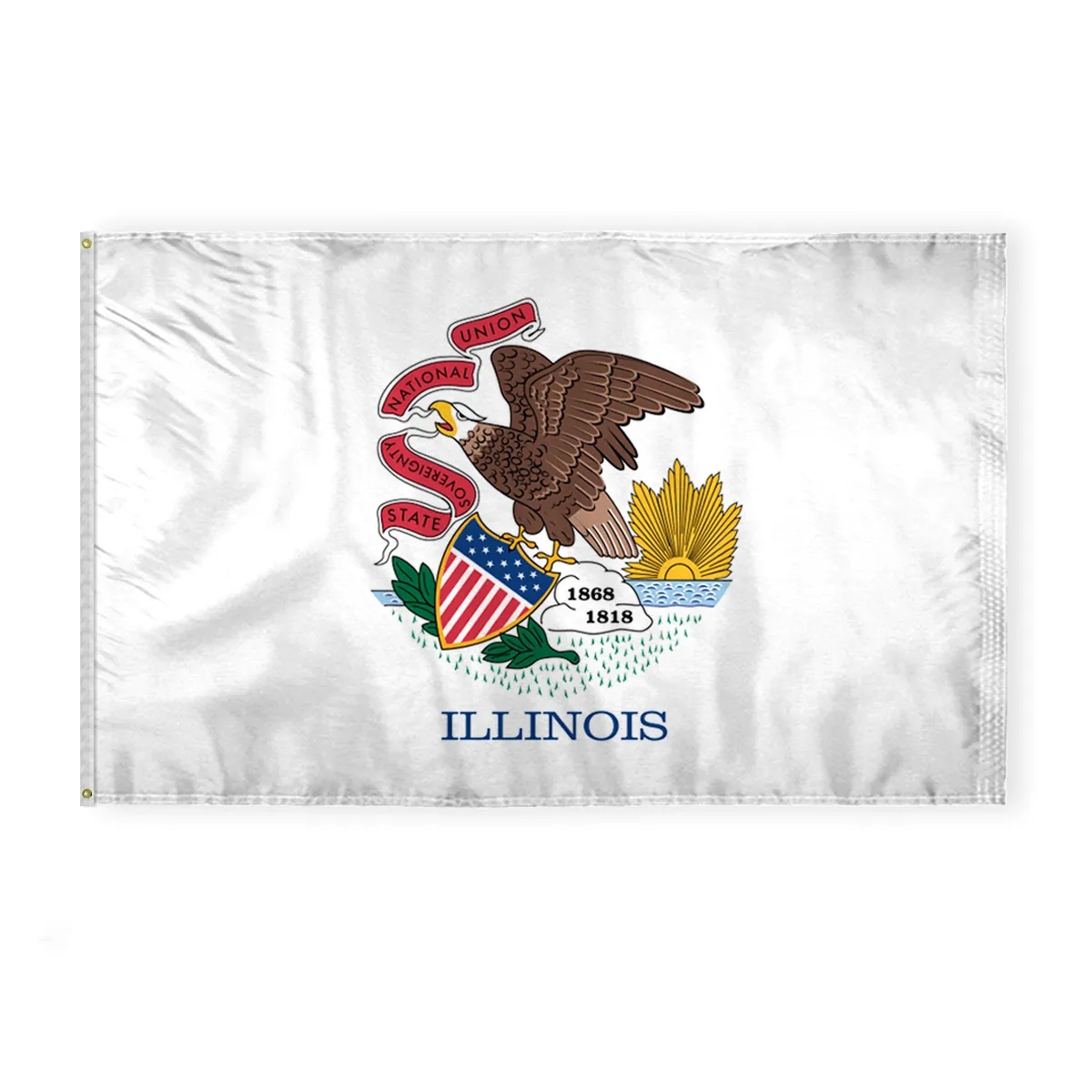 12"x18" to  8'x12'  Illinois Nylon Flags 6