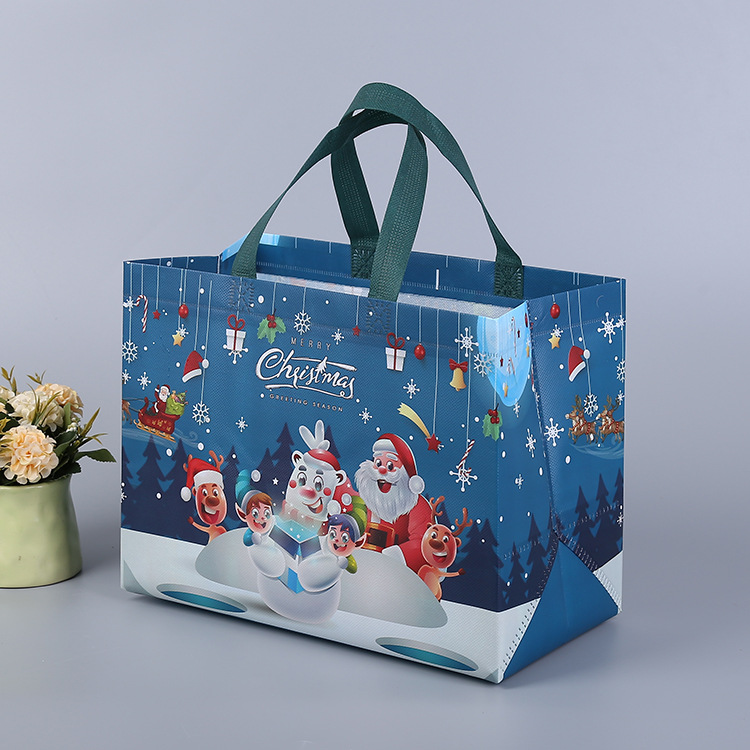 Multifunctional Non-Woven Christmas Bags 9