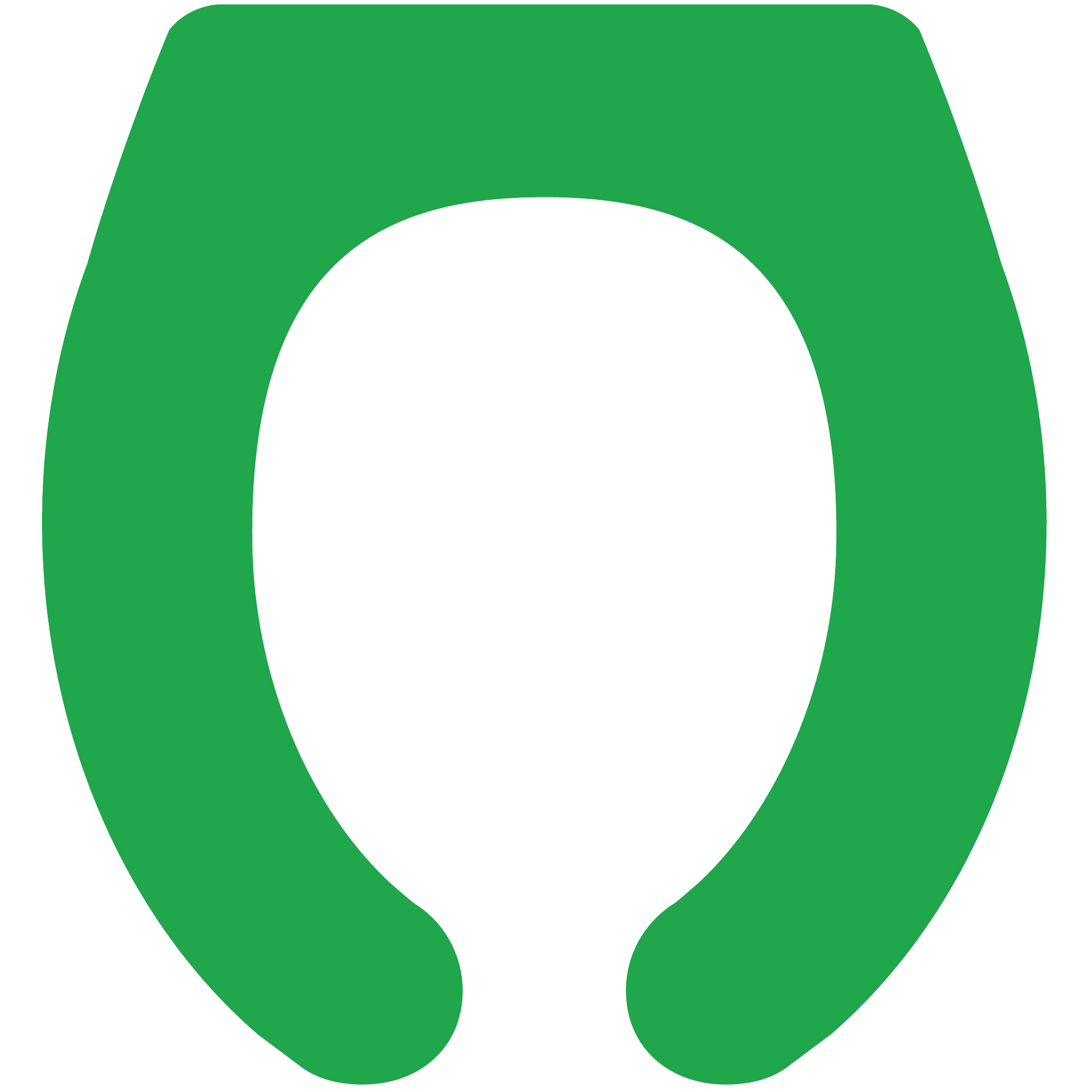 Toilet Seat 31