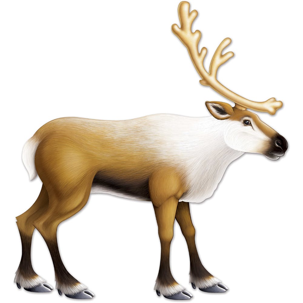 Jointed Reindeer Props - 3'1" 2