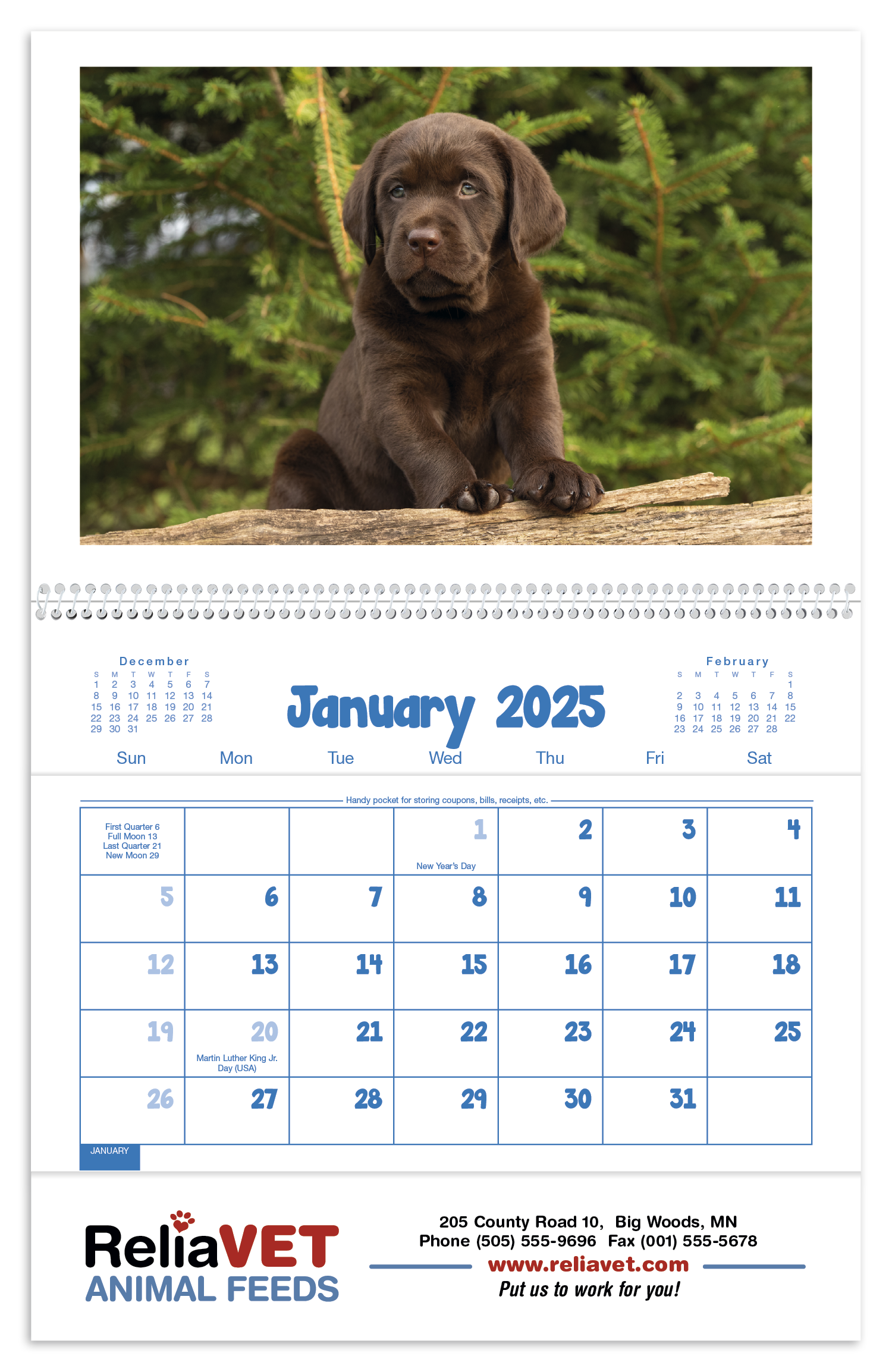Triumph® Calendars Puppies & Kittens Pocket Calendar 18