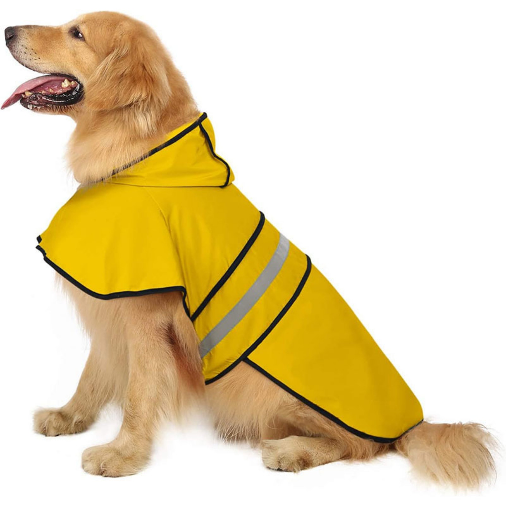 Dog Raincoat 2