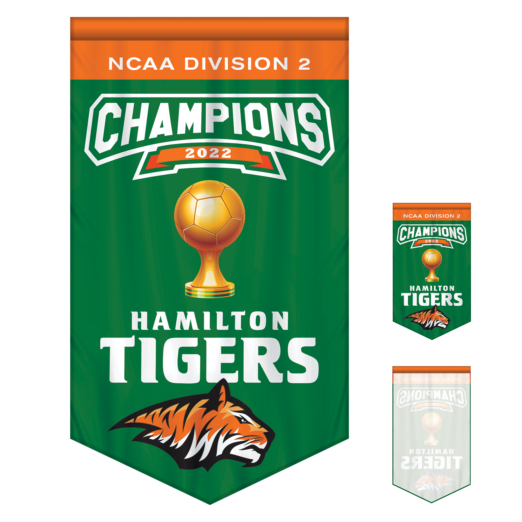 3' x 5' Championship Banner Single Sided V-Cut 5