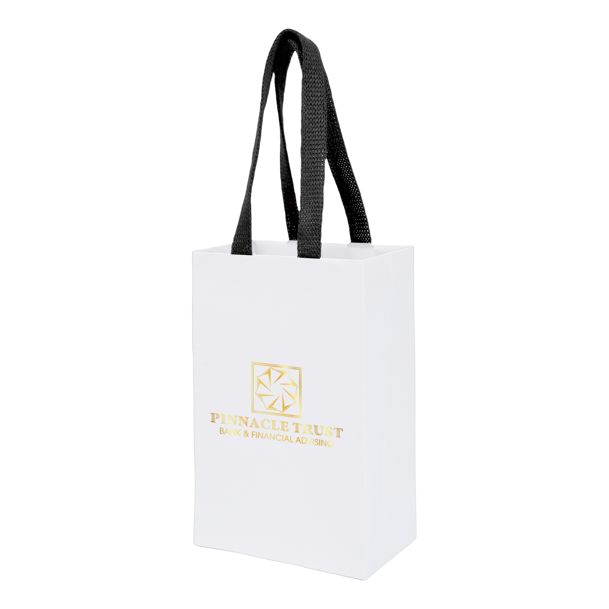 Sugarcane Paper Bag with Embedded Web Style Paper Handles - 4