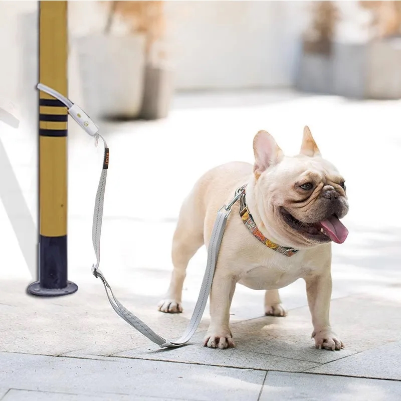 Anti-lost Lock Buckle Dog Leash 5