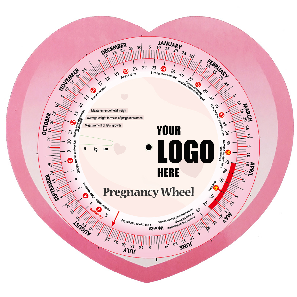 Pregnancy Birth Date Finder Wheel Calculator , Full Color 2