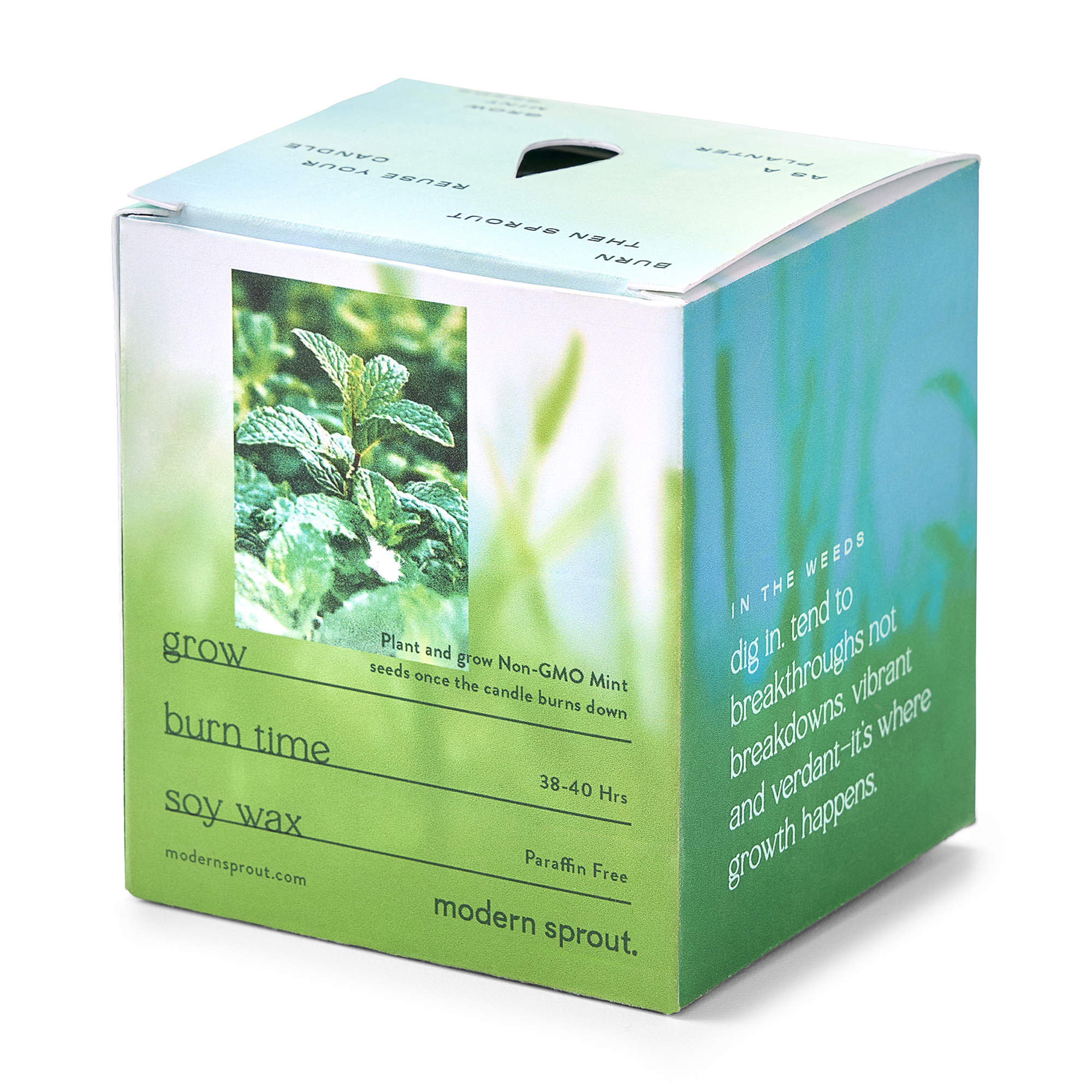 Modern Sprout® Garden Vibes Candle/Planter 17