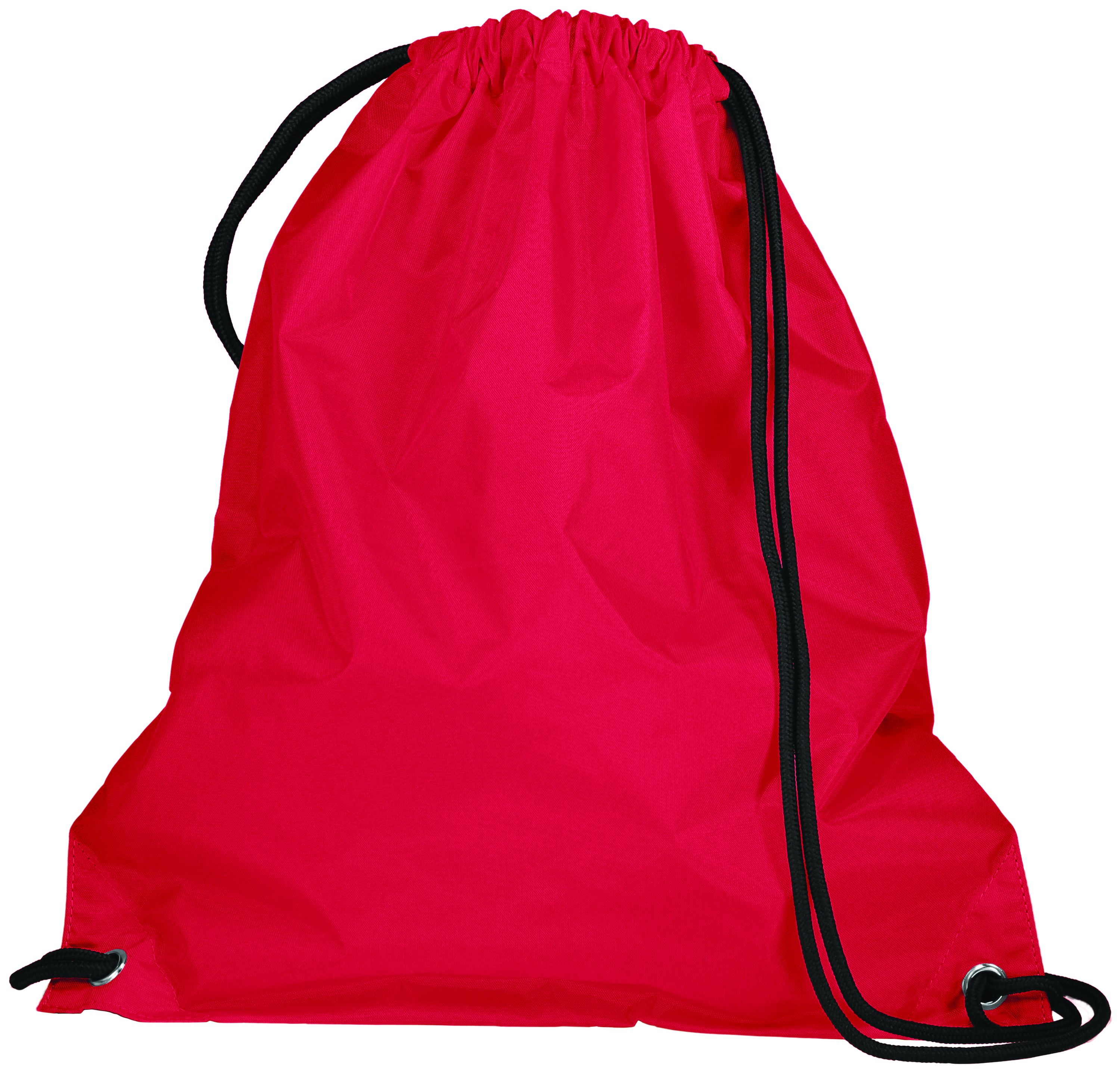 Cinch Bag 14