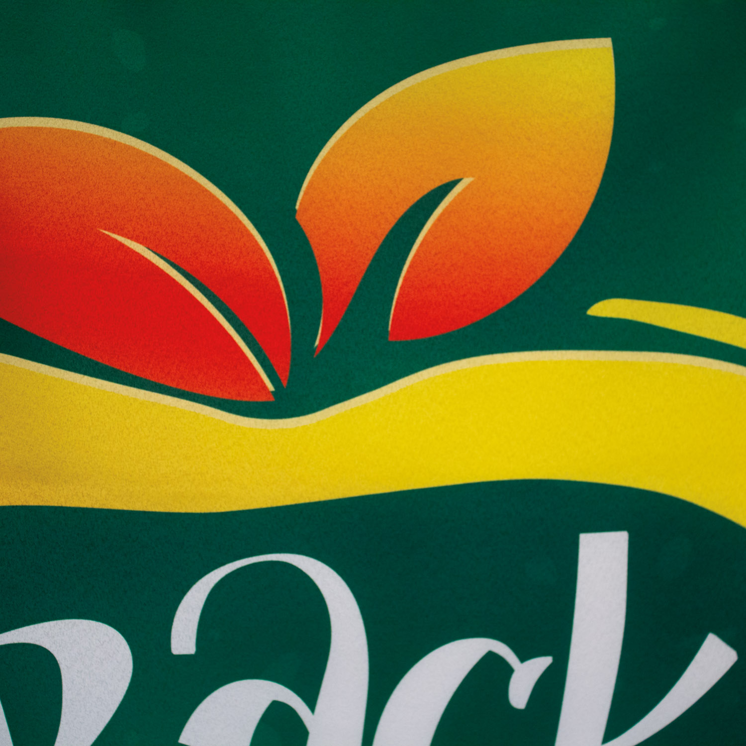 3' x 6' Satin Banner 4