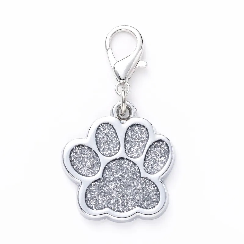 Zinc Alloy Handicraft Pet Anti Lost Tag 1