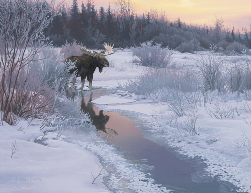 Good Value™ Wildlife Canvas - Spiral Calendar