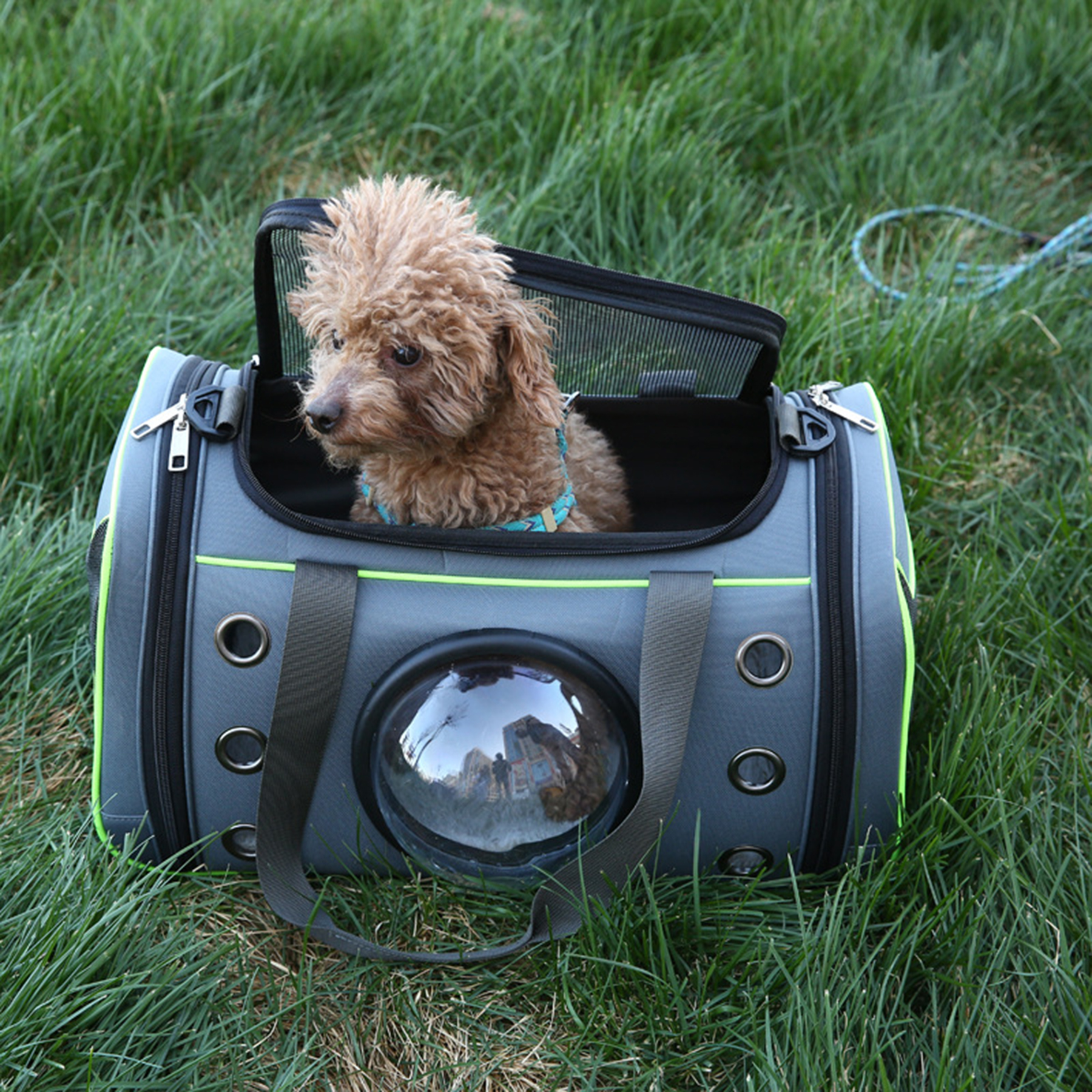 Portable Pet Backpack 4