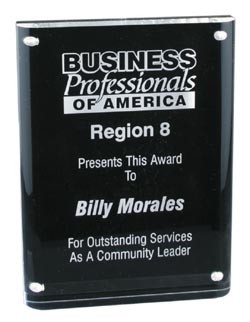 6" x 8" Magnetic Acrylic Award 2