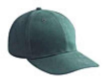 Embroidered Brushed Bull Denim Caps 7