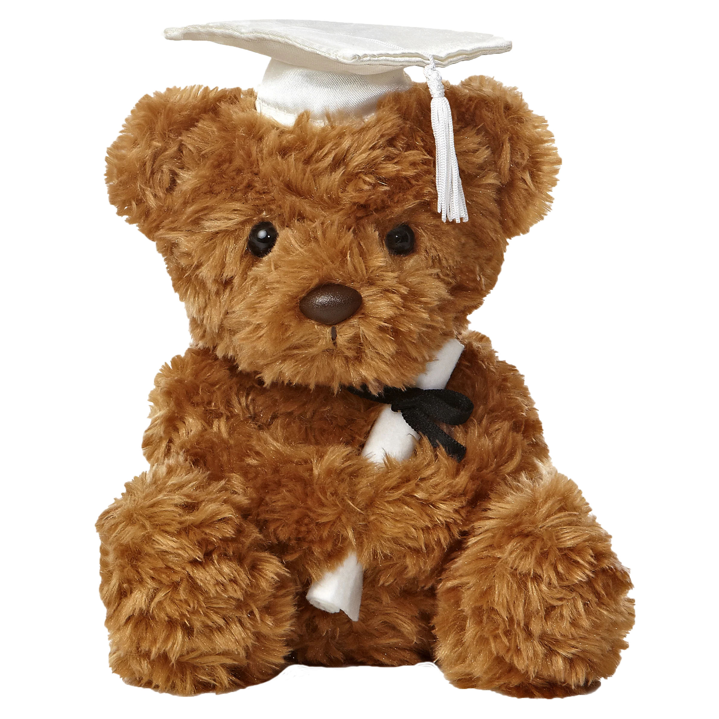 8.5" Graduation Bear 1