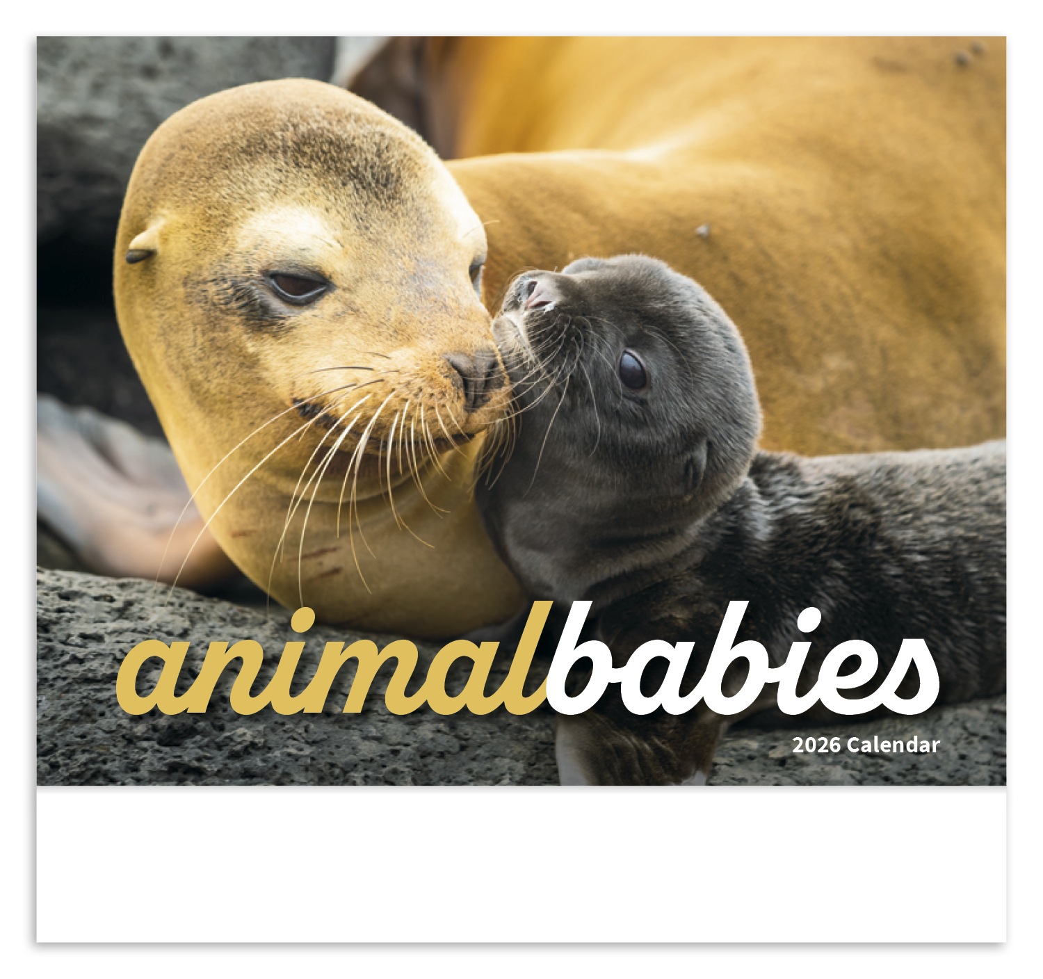 HotLine® Products Animal Babies Appointment Calendar - Stapled