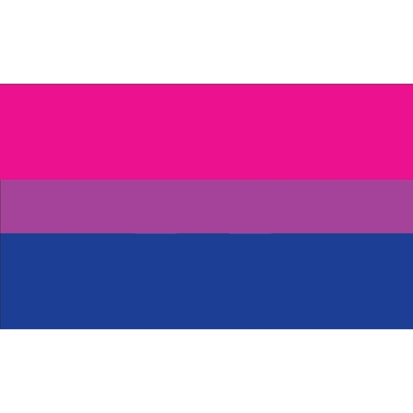 Bisexual Stick Flag 2