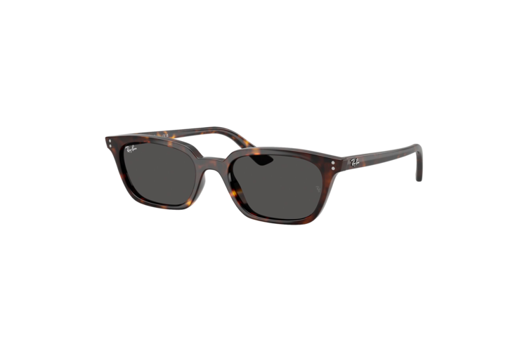 Ray-Ban Zaya Bio-Based Sunglasses 2