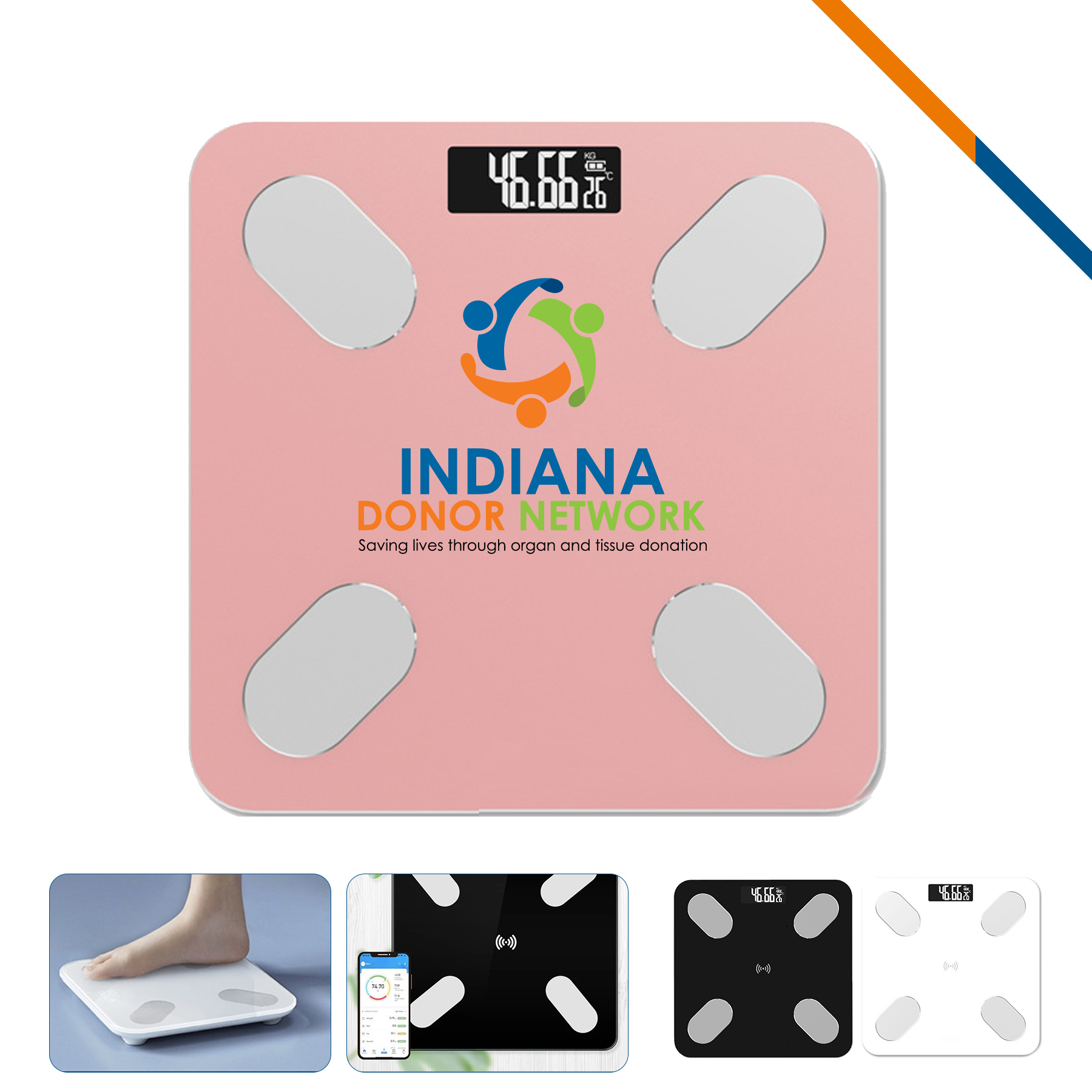 Pichol Electronic Scale 1