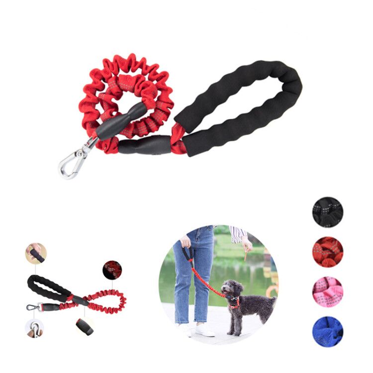 Pet Extension Leash 2