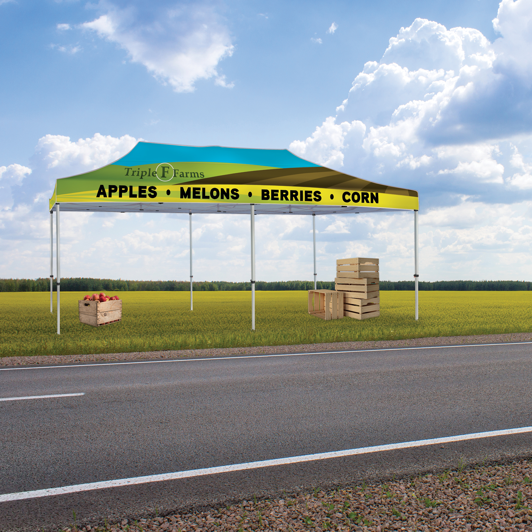 10' x 20' Heavy Duty Canopy Tent 16