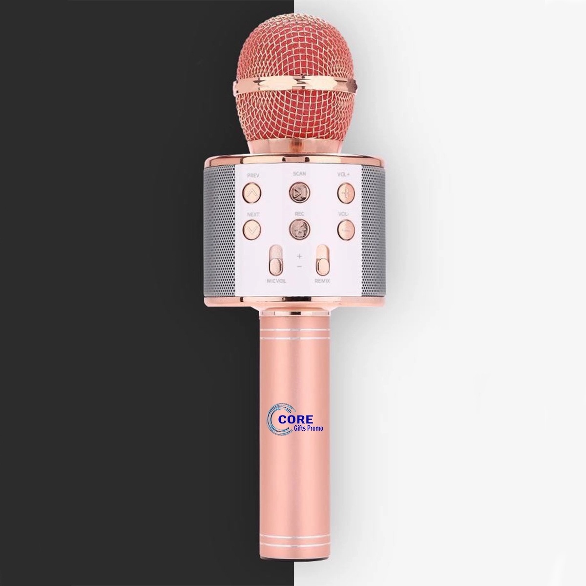Wireless Microphone Karaoke Speaker 2