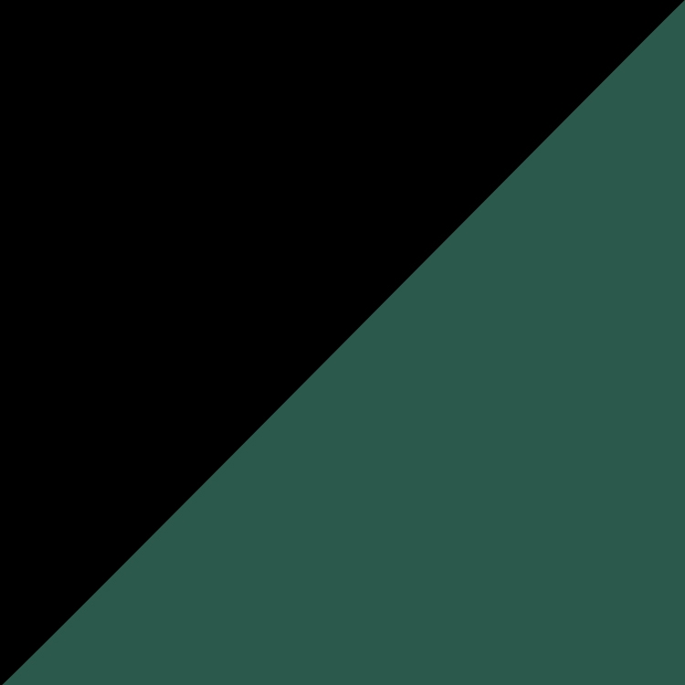 The Tradeshow Two-tone Tote Bag 11