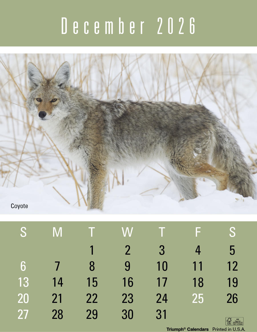 Press-N-Stick Sportsmen Calendar