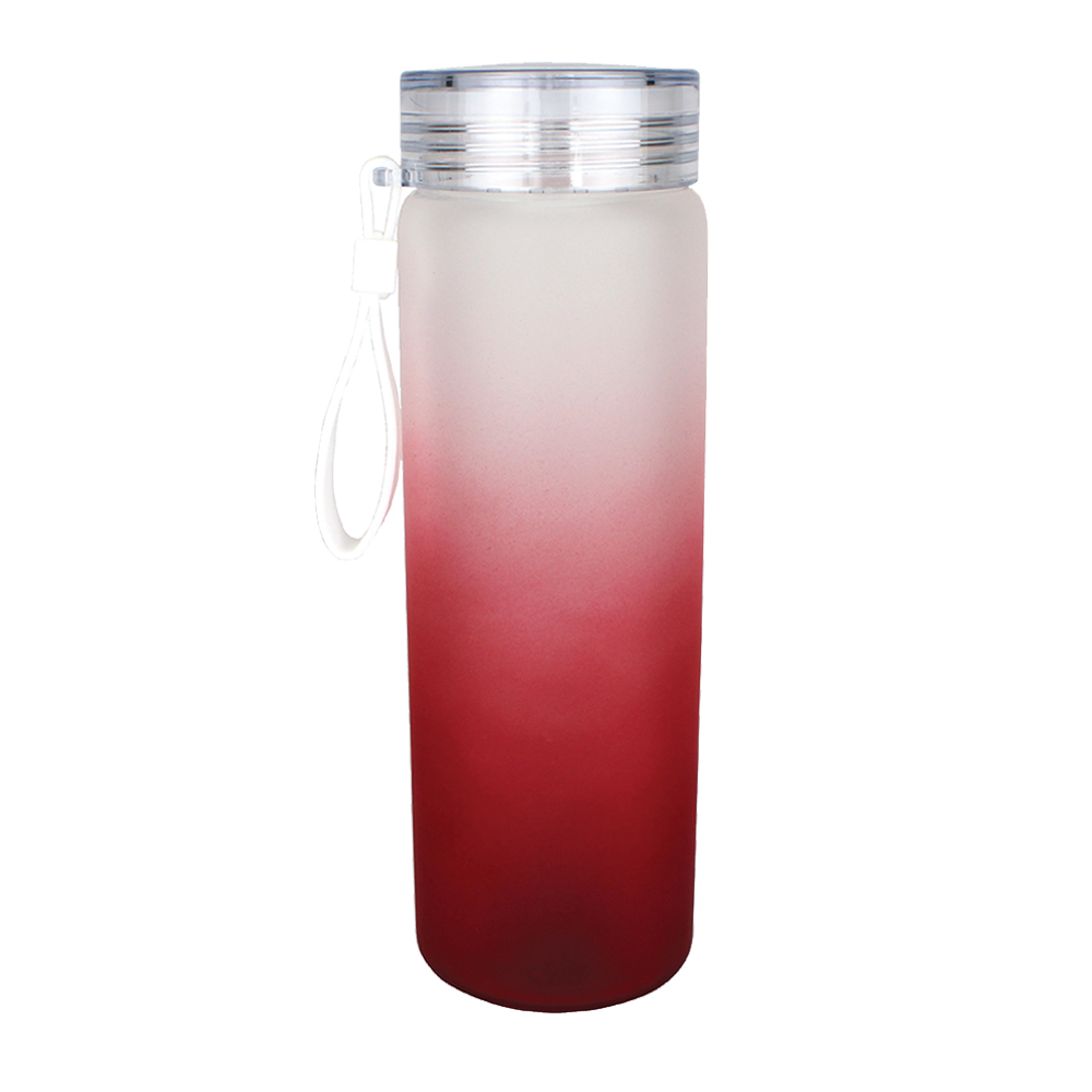 Halcyon® 20 oz. Frosted Glass Bottle with Screw on Lid 11