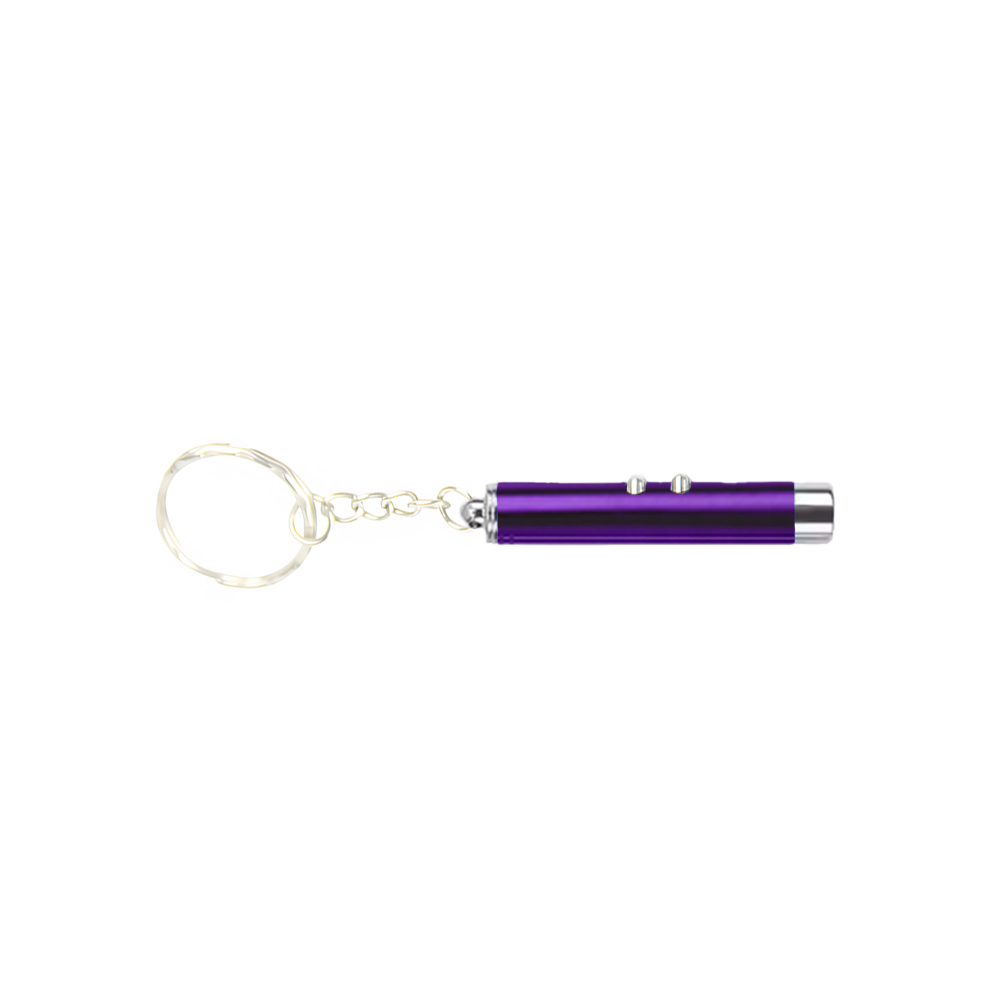 Laser Pointer Keychain With LED Flashlight 8