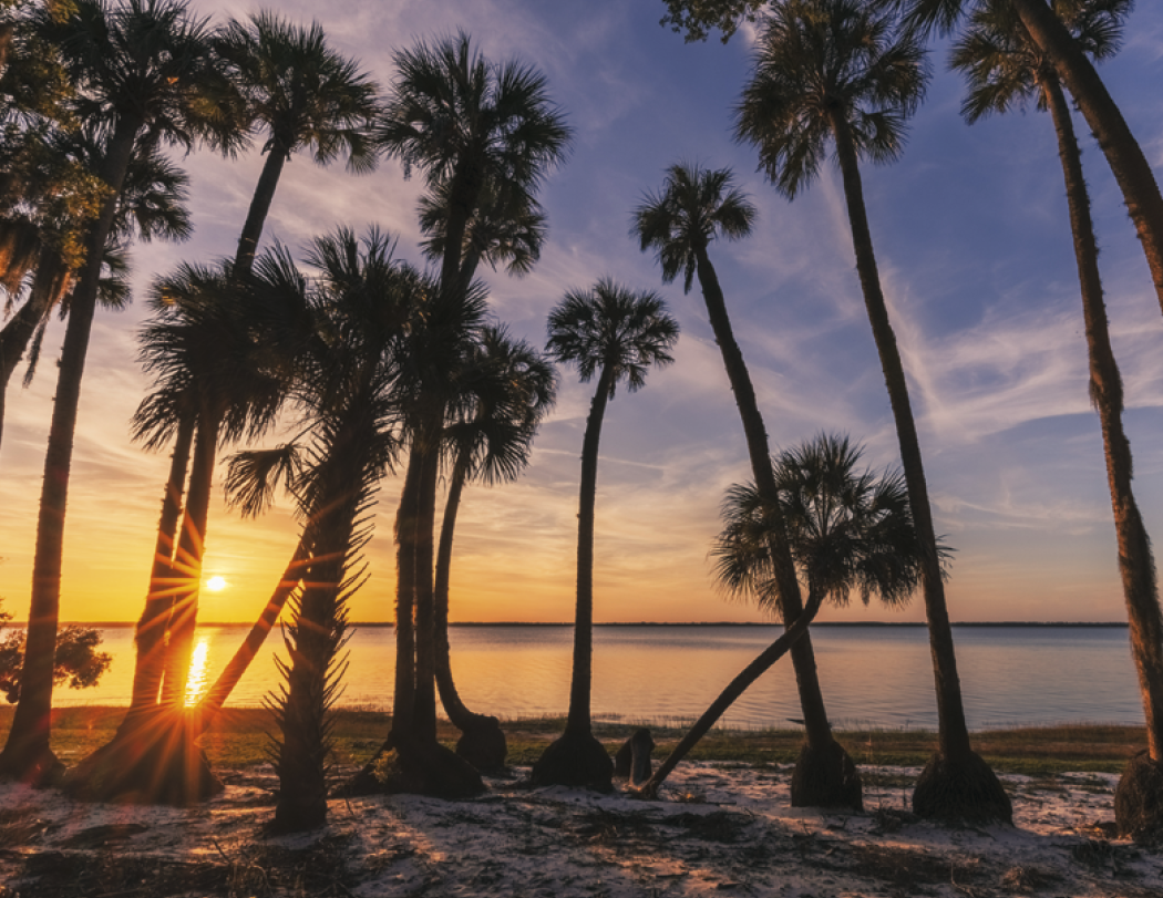 Triumph® Calendars Sunrise Sunset Calendar 28